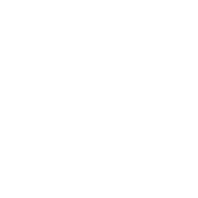Customer Focus